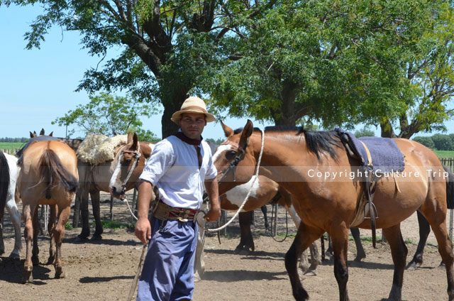 Gauchos