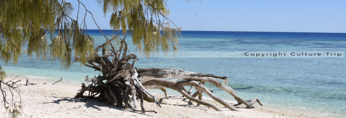 Lady Musgrave Island