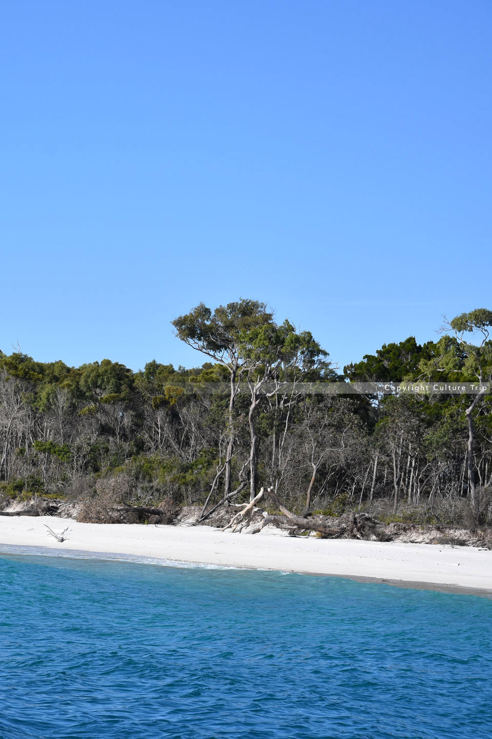 Fraser Island