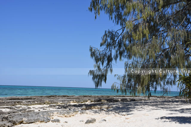 Lady Musgrave Island