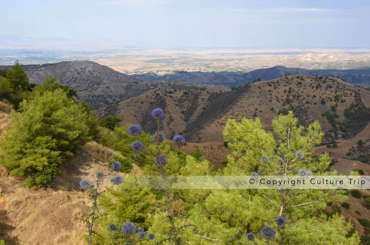 Paysage montagneux