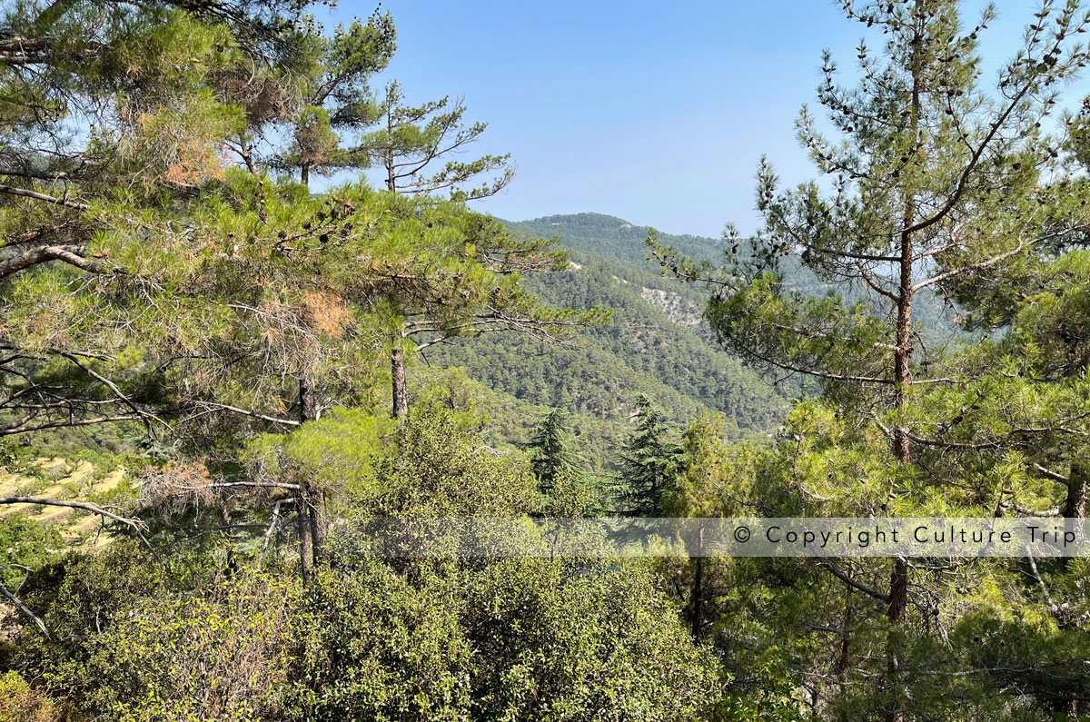 Le massif du Troodos