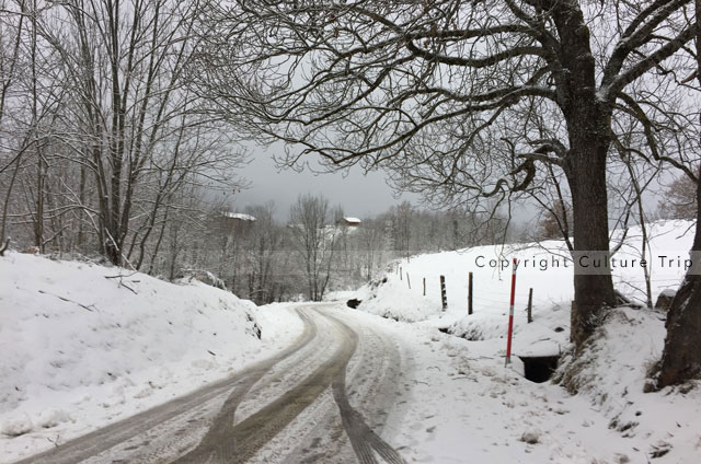 Route de montagne enneigée