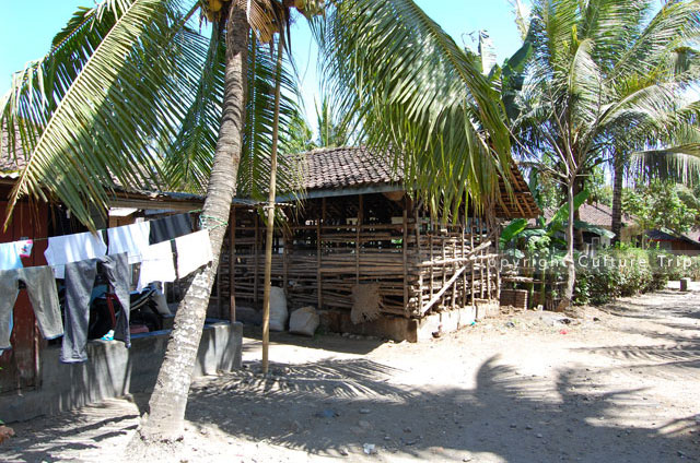 Village sasak