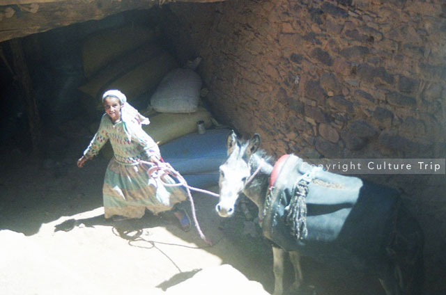 Petite fille avec son âne dans un grenier