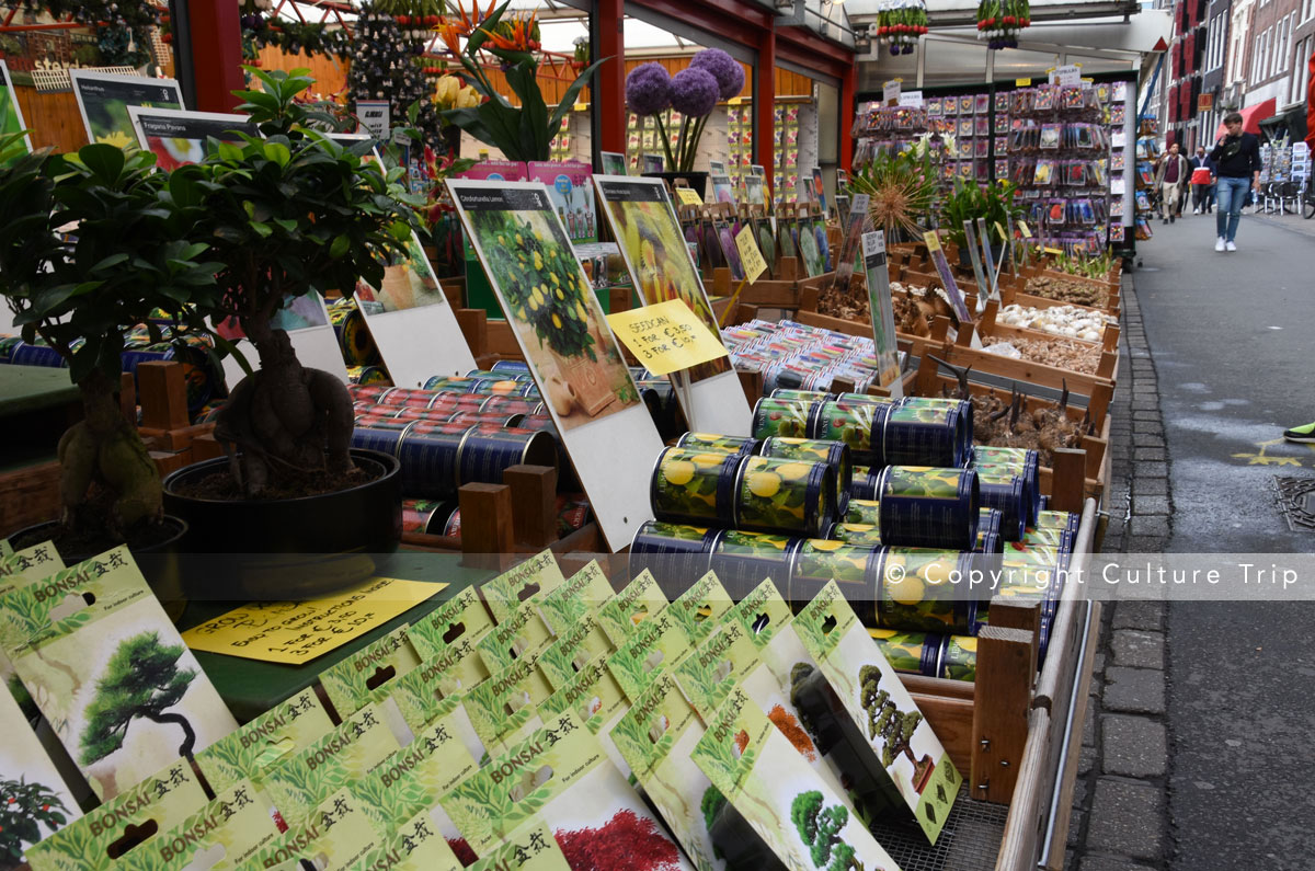 Le marché aux fleurs de Bloemenmarkt