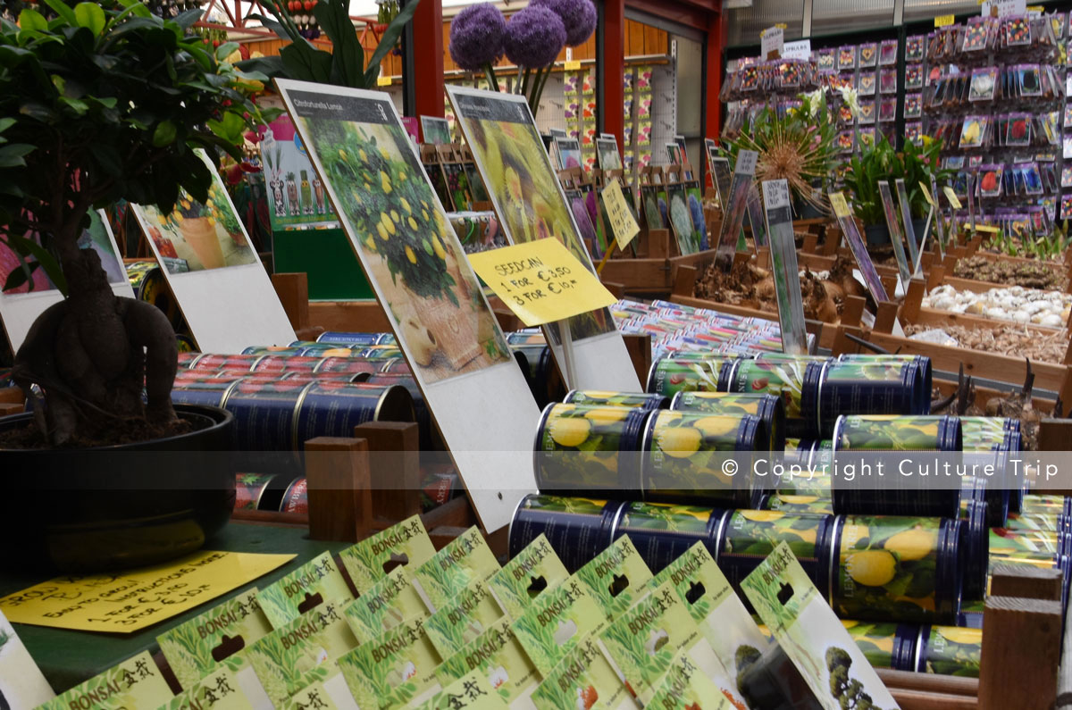 Le marché aux fleurs de Bloemenmarkt