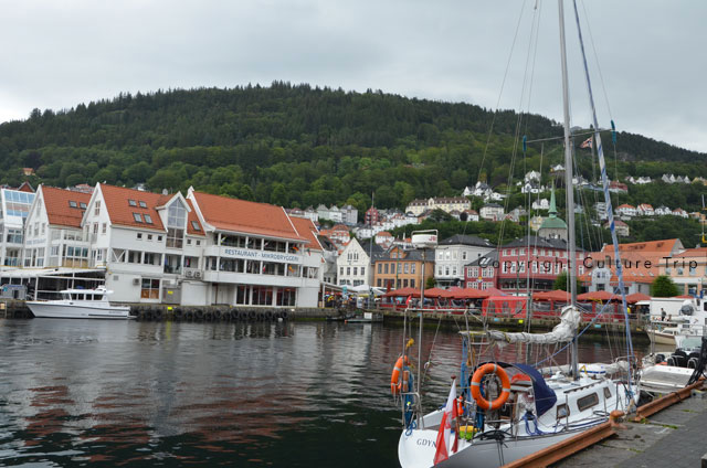 Vue sur le port de Bergen