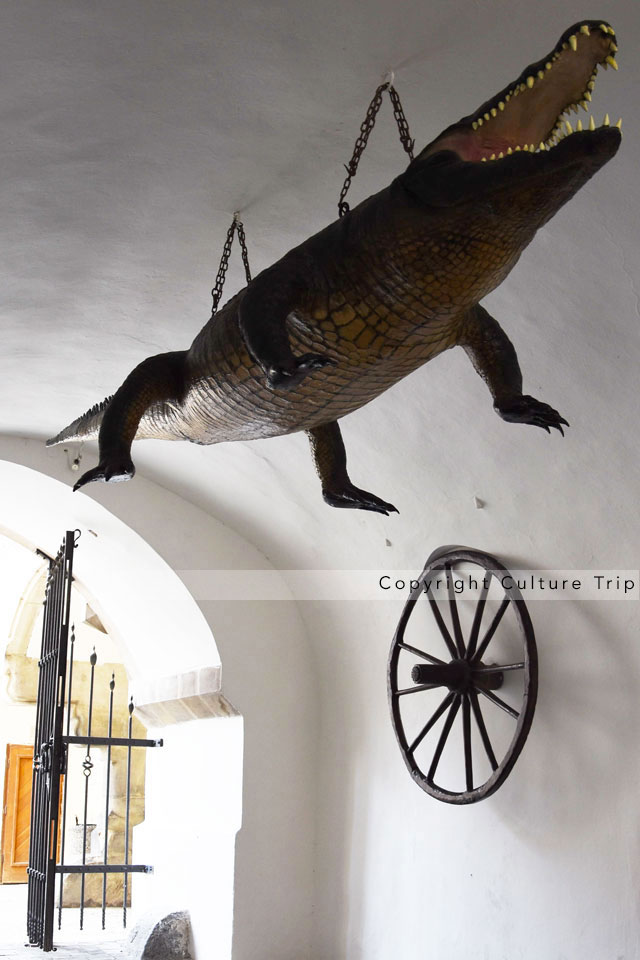 Un crocodile d’Amazonie à l'entrée de l'édifice municipal